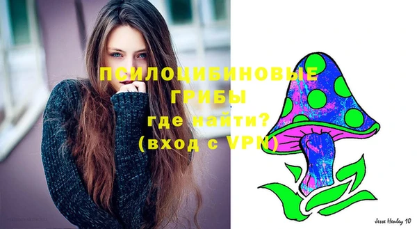 не бодяженный Пересвет