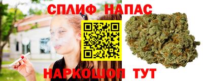 наркотики Гагарин