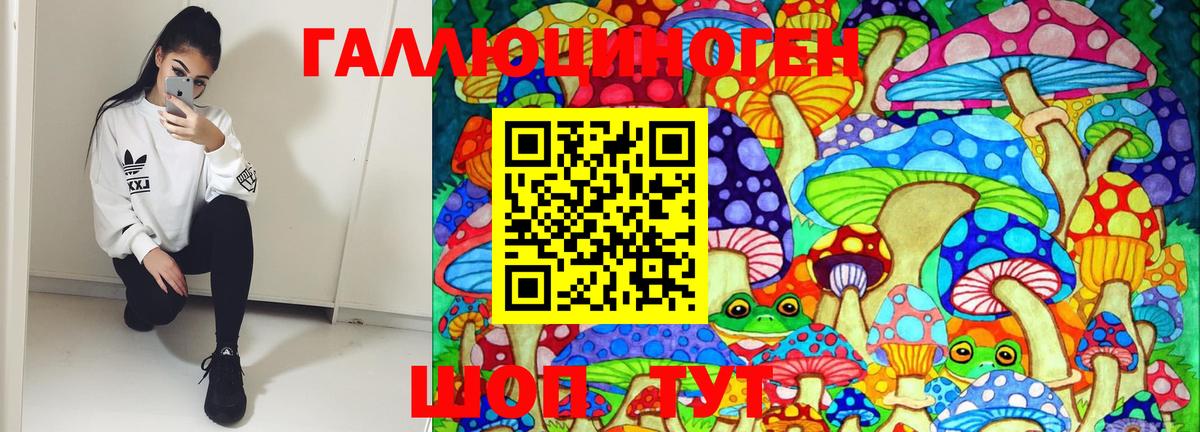 Советский  Псилоцибиновые грибы Cubensis  Галлюциногенные грибы MAGIC MUSHROOMS  Вход с VPN 