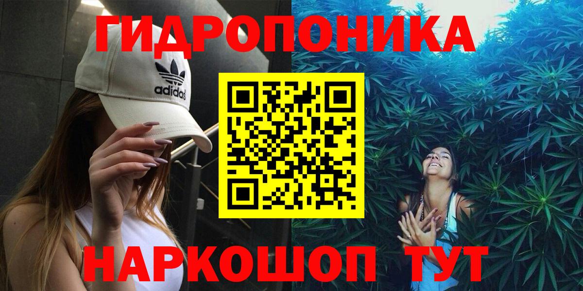 Конопля индика  Каннабис THC 21%  Советский  Вход с VPN  Марихуана Amnesia 